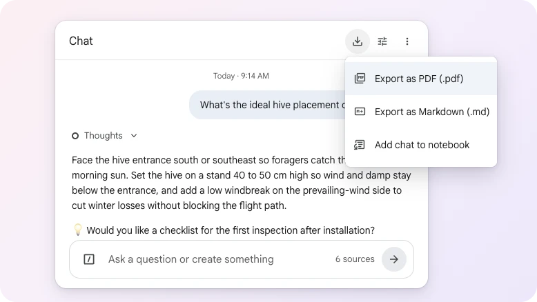 Export chat transcripts
